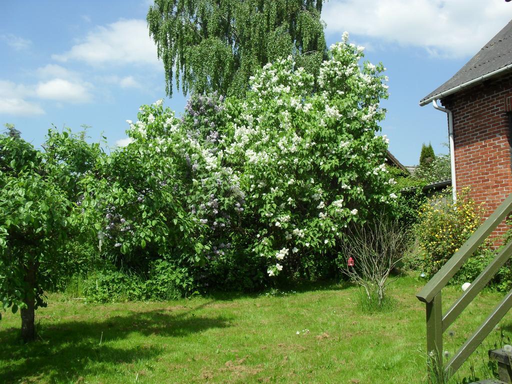 Borup Bed & Breakfast Exterior foto